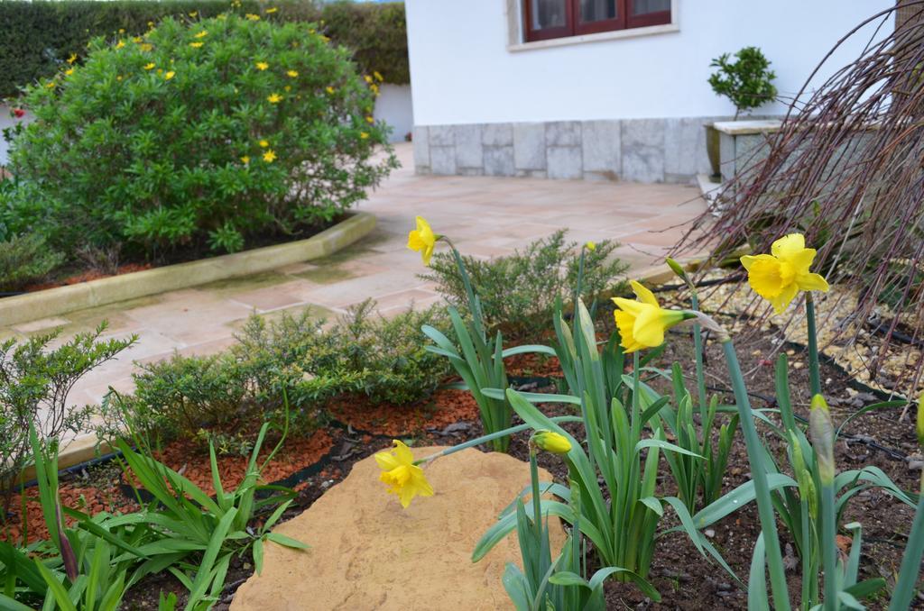 Beija-Flor House Villa Рибамар Екстериор снимка