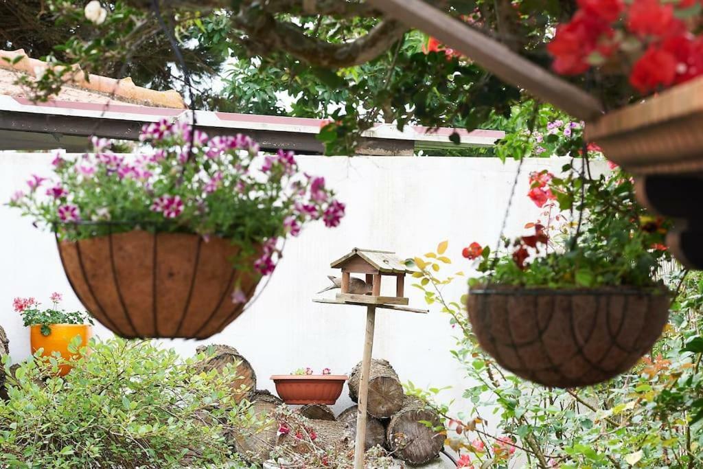 Beija-Flor House Villa Рибамар Екстериор снимка