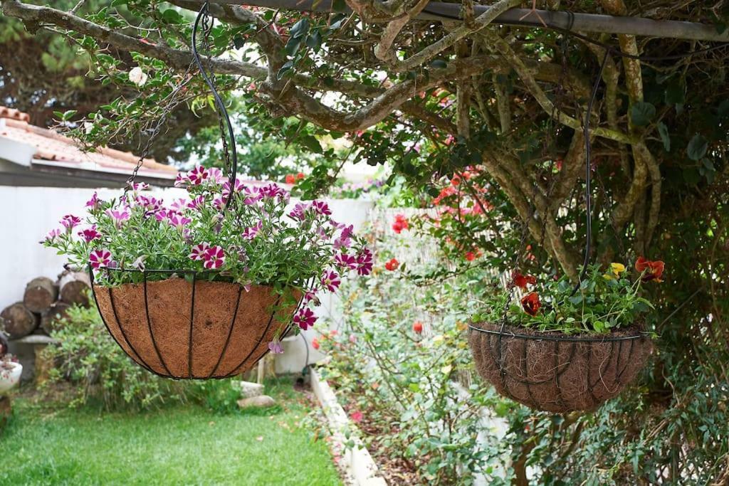 Beija-Flor House Villa Рибамар Екстериор снимка